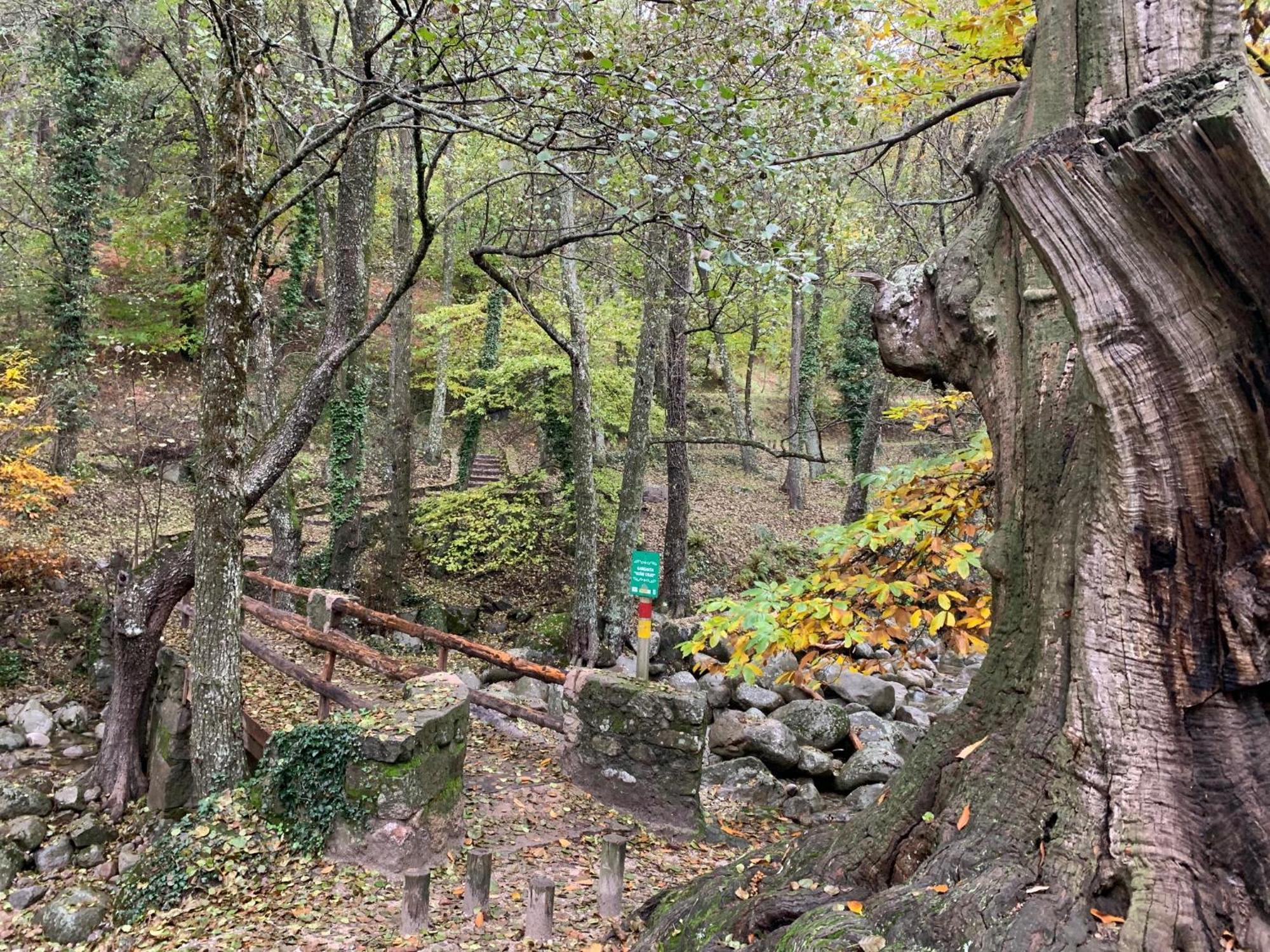 ソティージョ・デ・ラ・アドラダ El Refugio De Felixヴィラ エクステリア 写真