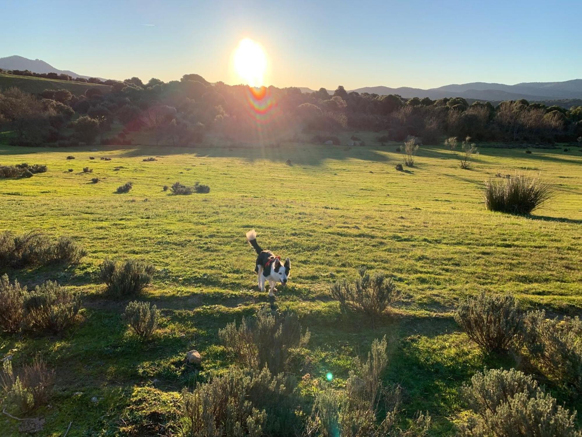 ソティージョ・デ・ラ・アドラダ El Refugio De Felixヴィラ エクステリア 写真